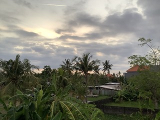 004E69D1-0C0D-44D7-961B-55B2690F8276.jpeg