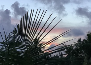 10F7AEF3-5FC8-4CC5-83FC-35F3063AD37C.jpeg