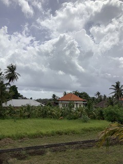 87079E38-47E5-4726-B7C8-63D8D64E95BA.jpeg