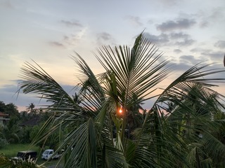 DDE46CD4-BA42-475B-AA9A-56893054C31D.jpeg