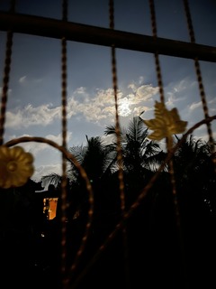 IMG_7985.jpeg