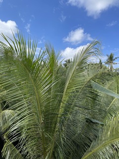IMG_7998.jpeg