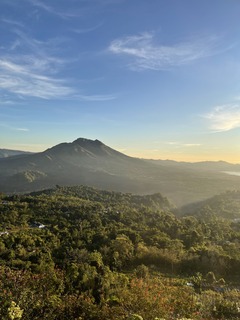 IMG_8177.jpeg